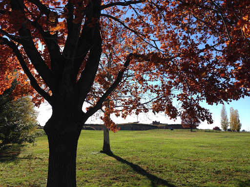 National Park «Fort McHenry National Monument and Historic Shrine», reviews and photos, 2400 E Fort Ave, Baltimore, MD 21230, USA