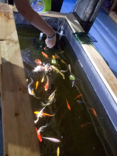 Pet Store «Greenwood Pets & Plants», reviews and photos, 13983 E 9 Mile Rd, Warren, MI 48089, USA