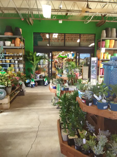 Hardware Store «Orchard Supply Hardware», reviews and photos, 340 S Federal Hwy, Deerfield Beach, FL 33441, USA