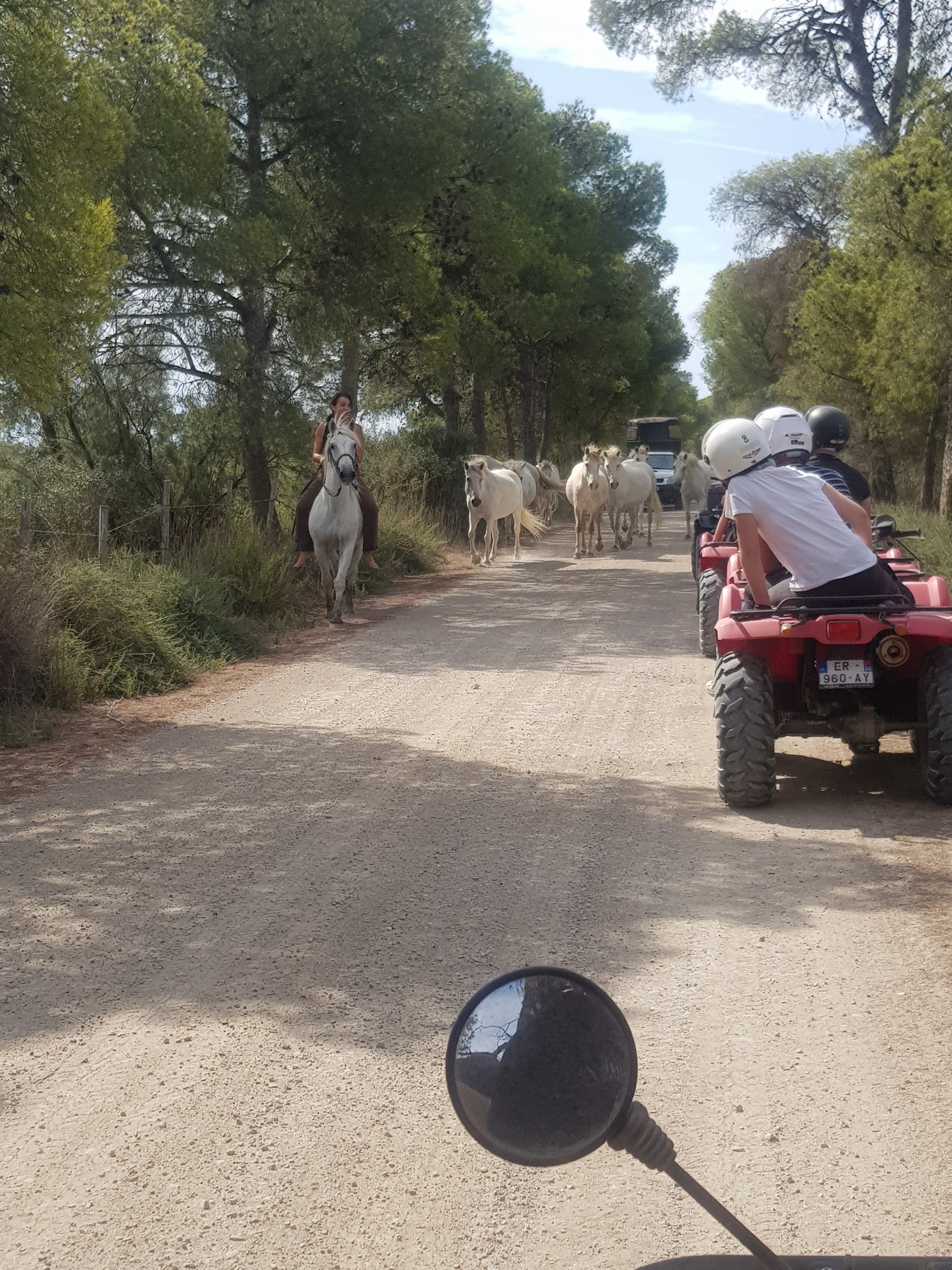 Photo n° 3 de l'avis de Lea.o fait le 23/08/2019 à 08:02