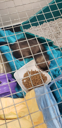 Pet Store «Pet World Warehouse Outlet», reviews and photos, 2148 W Beltline Hwy, Madison, WI 53713, USA