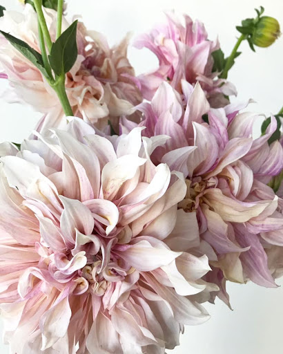 Florist «City Line Florist», reviews and photos, 2978 Nichols Ave, Trumbull, CT 06611, USA