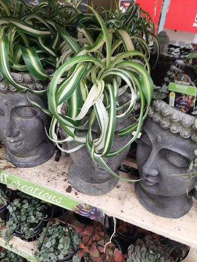 Home Improvement Store «The Home Depot», reviews and photos, 1155 High St, Wadsworth, OH 44281, USA