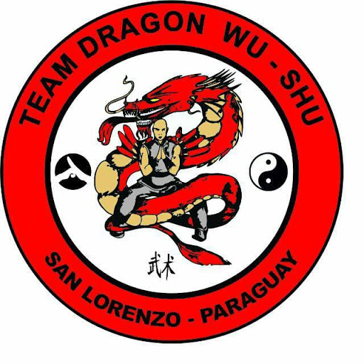 Team Dragon Wushu Kung Fu