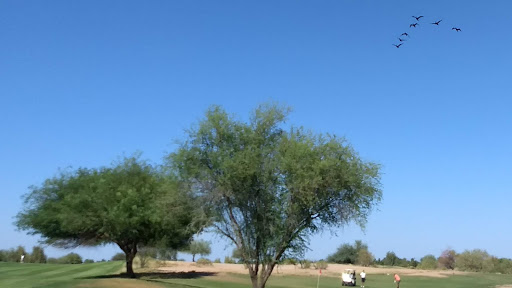 Golf Course «Bear Creek Golf Complex», reviews and photos, 500 East Riggs Road, Chandler, AZ 85249, USA