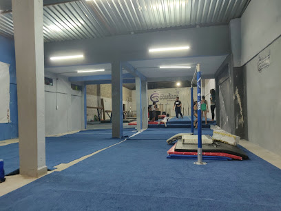 COUGARS GYMNASTIC & PARKOUR CENTER