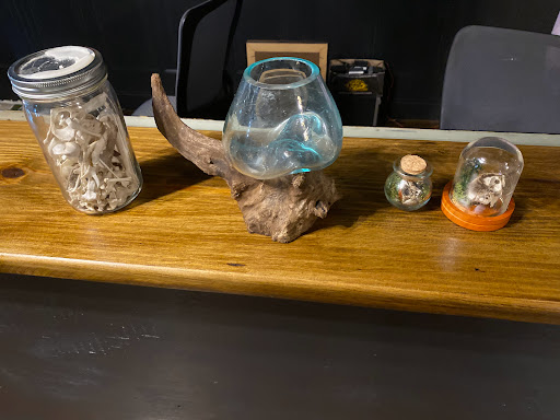 Explore tree tattoo ideas for females, creative tattoo ideas in Augusta, available at Moth & Magpie Tattoo