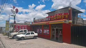POLLOS Y CARNES AL CARBON GABY´S - Parrilladas, Picaditas y restaurantes en Machachi