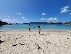Photo de Hansen Bay beach avec un niveau de propreté de assez propre