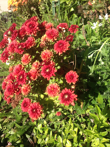 Park «City of Cuernavaca Park», reviews and photos, 3500 Rockmont Dr, Denver, CO 80202, USA