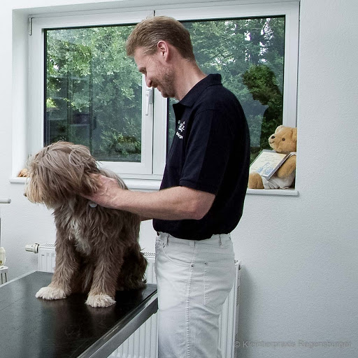 Norbert Regensburger veterinarian unter Horneburg, Niedersachsen