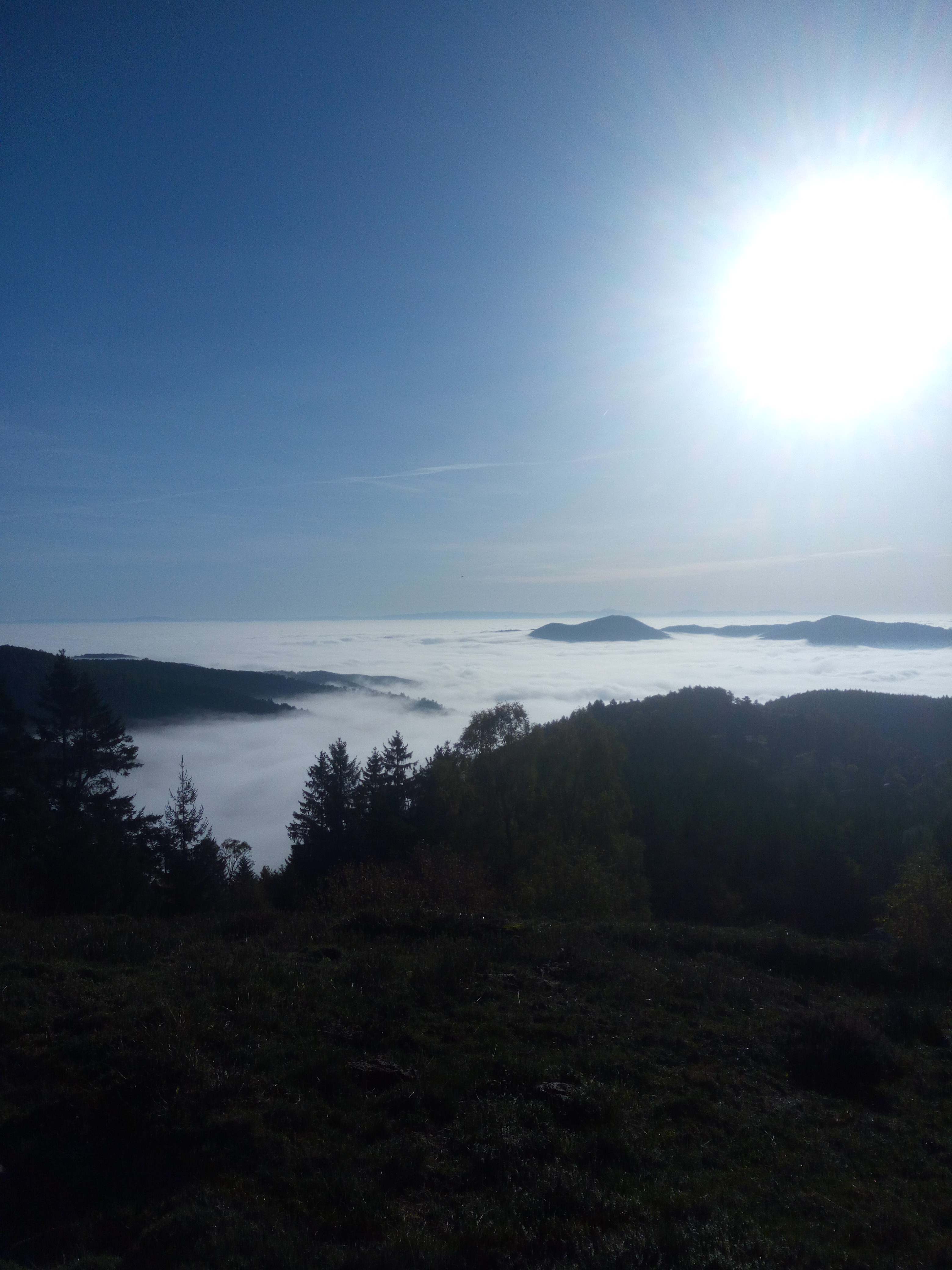 Photo n° 1 de l'avis de Norbert.a fait le 27/10/2019 à 11:36