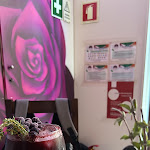 Photo n°1 de l'avis de Chintaka.f fait le 21/04/2024 à 16:21 sur le  The Door à Porto