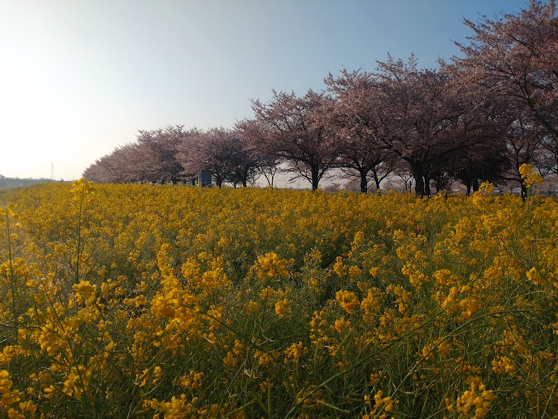 関宿にこにこ水辺公園