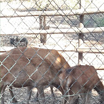 Photo n°25 de l'avis de bruno.a fait le 01/09/2017 à 18:21 sur le  Il Rustico La Casa degli Ulivi à Piedimonte Etneo