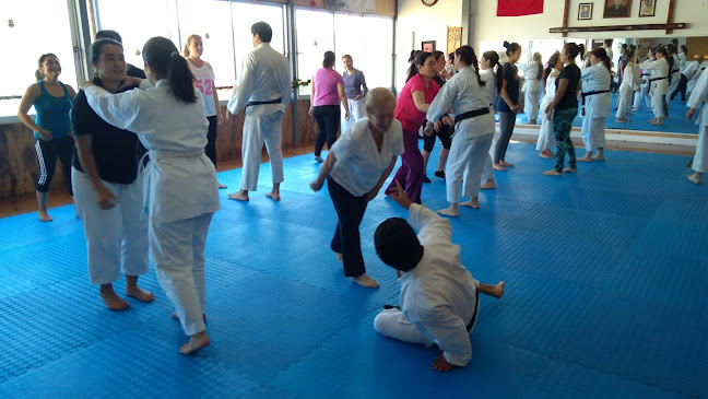 Opiniones de Karate Do Shotokan JKA - Dojo Samurai en Viña del Mar - Gimnasio