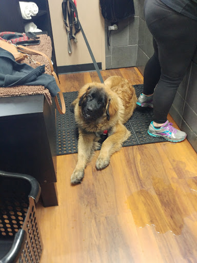 Pet Store «Pet Valu», reviews and photos, 1301 W Skippack Pike, Blue Bell, PA 19422, USA