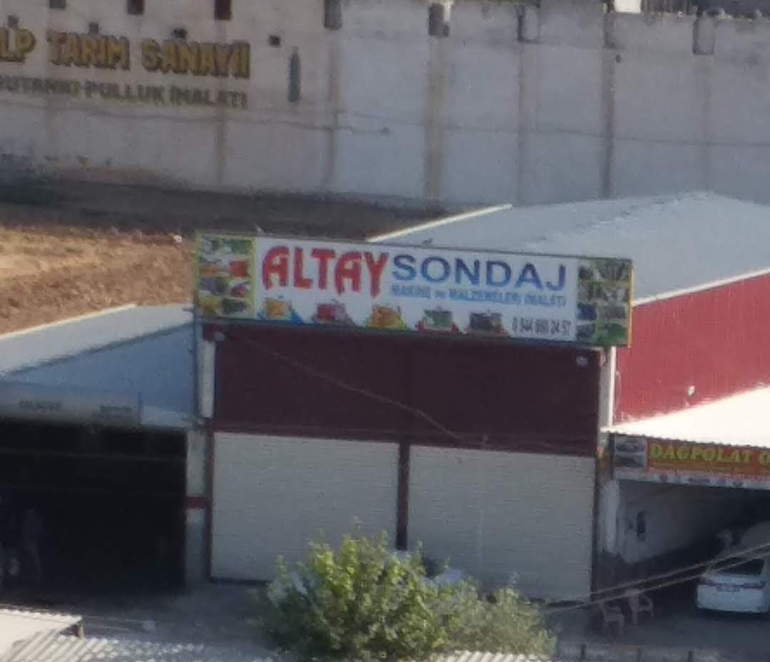 Altay sondaj