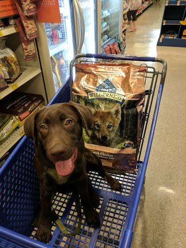 Pet Supply Store «PetSmart», reviews and photos, 865 Colusa Ave, Yuba City, CA 95991, USA