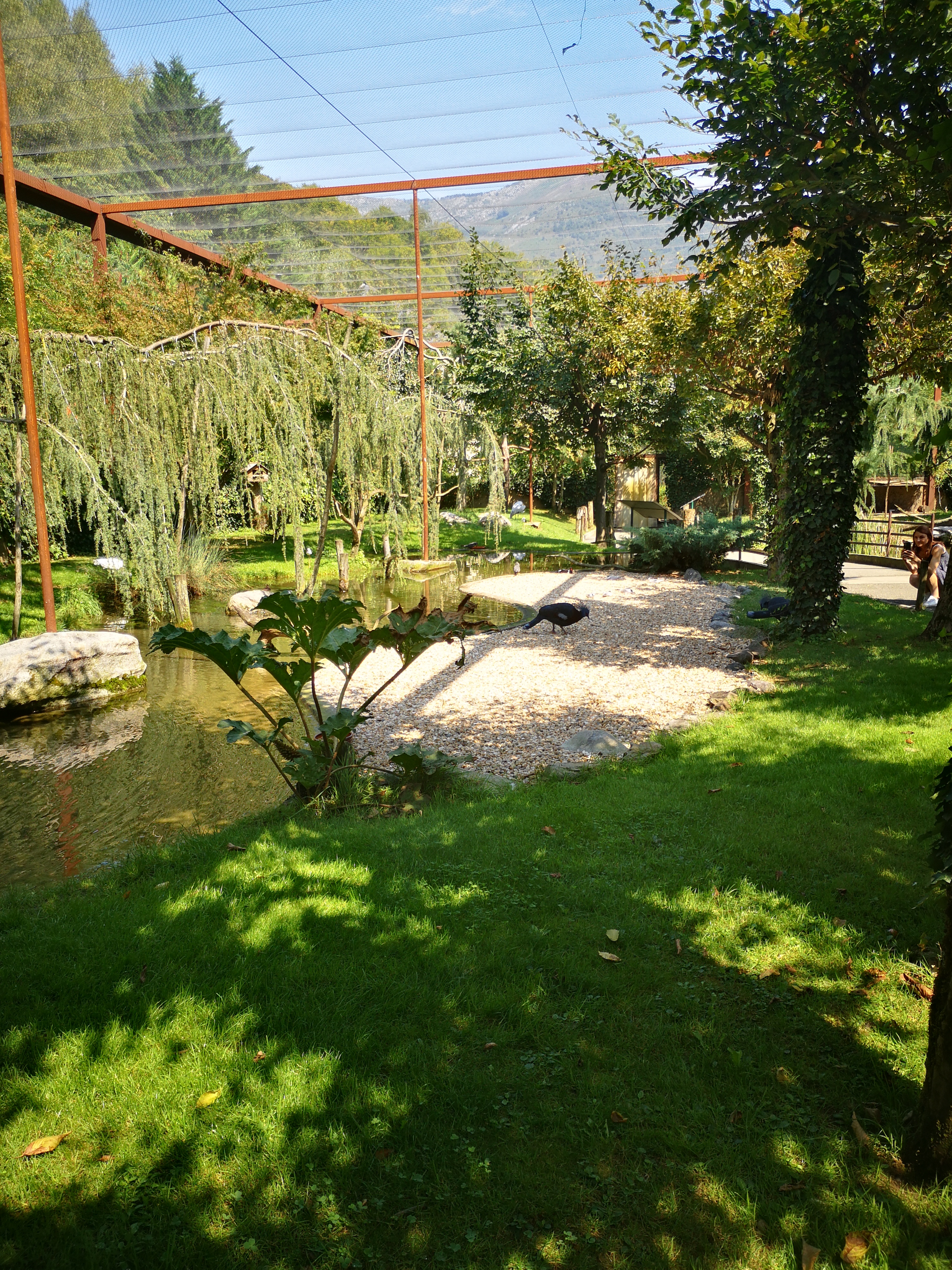 Photo n° 26 de l'avis de Léonie. fait le 26/08/2023 à 20:22