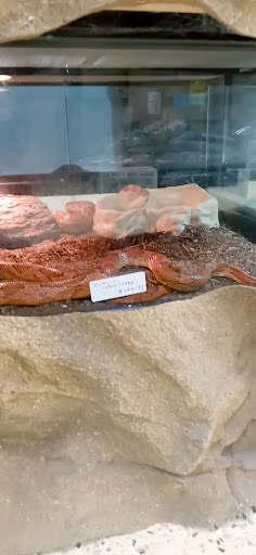 Pet Store «Zookeeper Exotics», reviews and photos, 9012 Research Blvd, Austin, TX 78758, USA