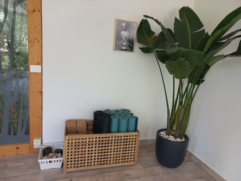 Yoga tribe, photo 3
