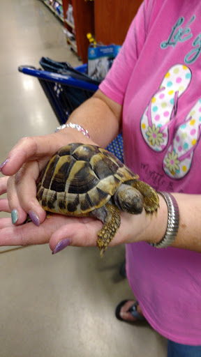 Pet Supply Store «PetSmart», reviews and photos, 1391 S Commons Dr, Myrtle Beach, SC 29588, USA