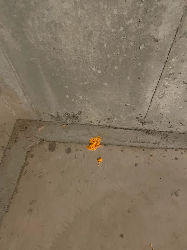 Insulation Contractor «HomeWorks Energy, Inc.», reviews and photos