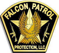 FALCON PATROL PROTECTION - Photo 5 - Car repair in Houston, TX, Houston