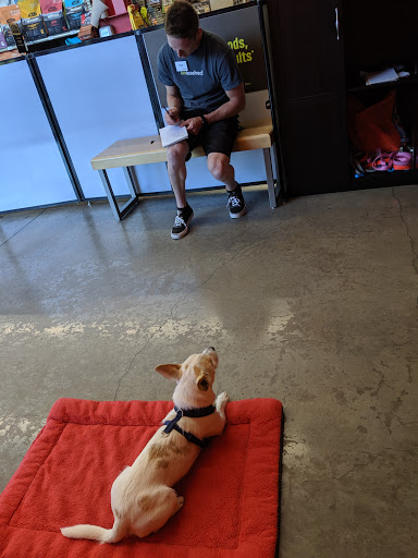 Pet Supply Store «Unleashed by Petco», reviews and photos, 4460 Tassajara Rd a, Dublin, CA 94568, USA