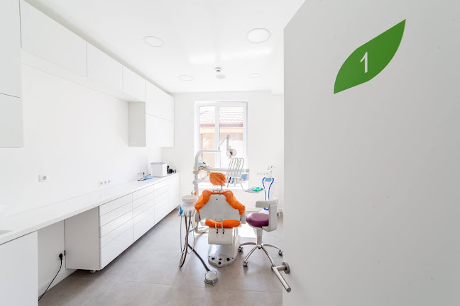 Opinii despre Dental Art în Oradea - Dentist