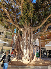 smöoy - Águilas - Murcia