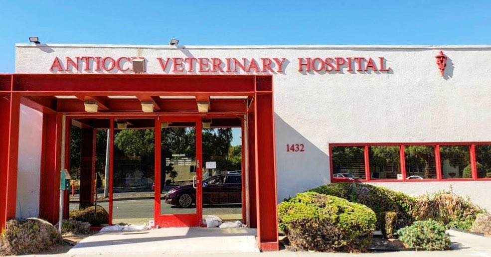 Antioch Veterinary Hospital - 10th Street