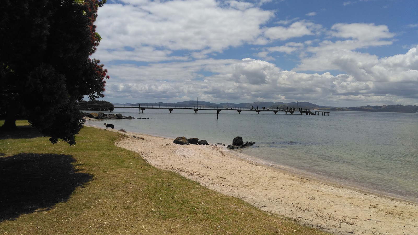 Photo of Shelly Beach with very clean level of cleanliness