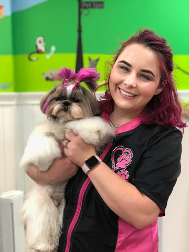 Pet Store «Canine Carousel», reviews and photos, 43135 Broadlands Center Plaza #129, Ashburn, VA 20148, USA