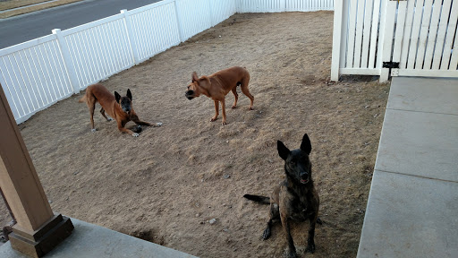 Stadium «Pepsi Center», reviews and photos, 1000 Chopper Cir, Denver, CO 80204, USA