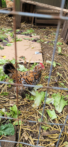 Produce Market «Highland Orchards Farm Market», reviews and photos, 1431 Foulk Rd, Wilmington, DE 19803, USA