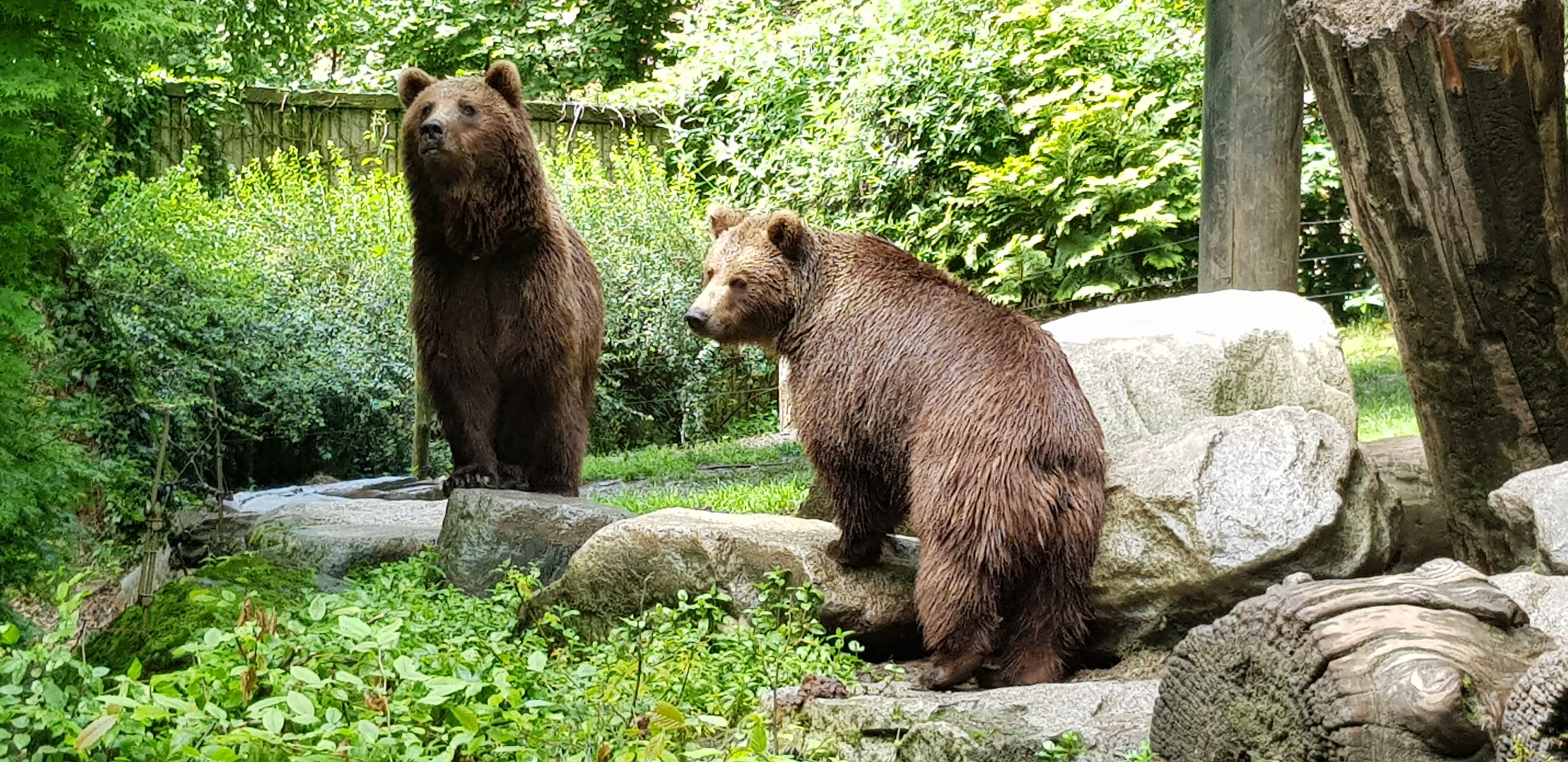 Photo n° 4 de l'avis de Frederic.a fait le 16/06/2023 à 07:23