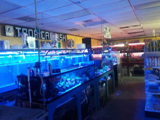 Aquarium Shop «Total Fish & Pets», reviews and photos, 137 Valley Blvd, Alhambra, CA 91801, USA