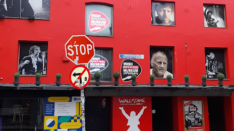 Roofing Services in Temple Bar, IE