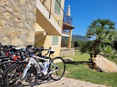 Bike Experience Mallorca - Bicycle hire Port de Pollensa en Port de Pollença