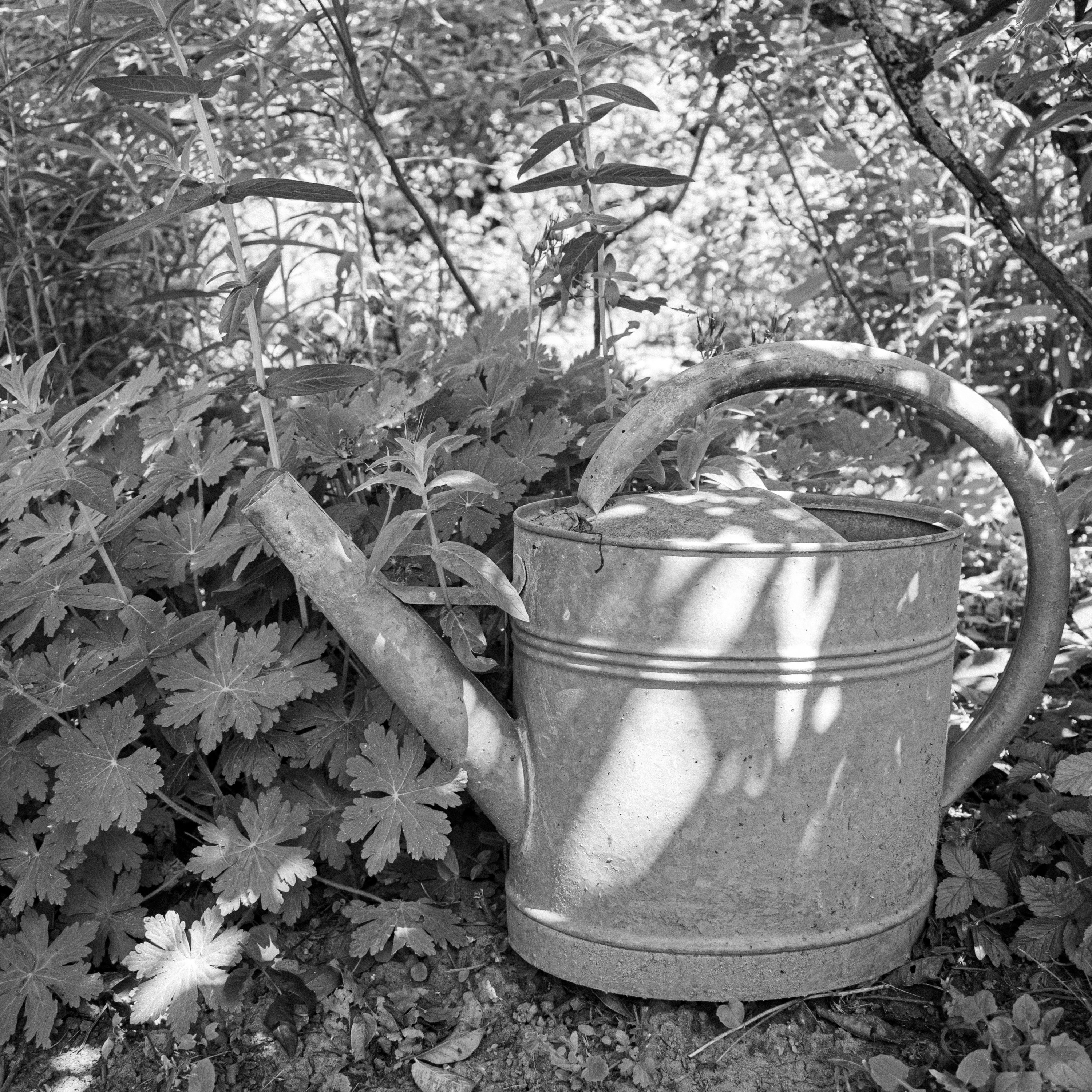 Photo n° 3 de l'avis de Chanelonam. fait le 01/06/2023 à 11:44