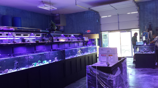 Tropical Fish Store «Marine Solutions», reviews and photos, 20 Triad S Dr, St Charles, MO 63304, USA