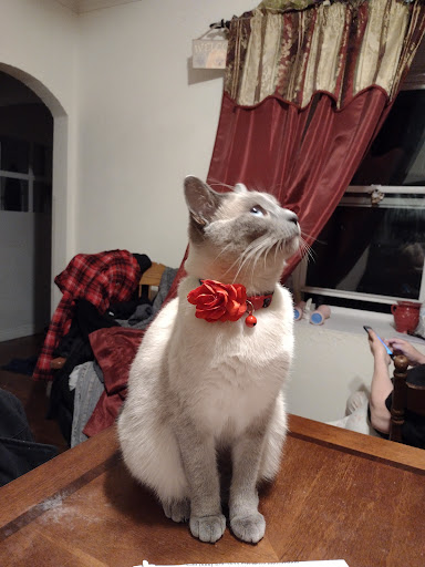 Clintonville Veterinary Hospital image