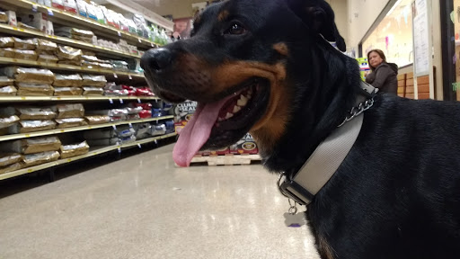 Pet Supply Store «PetSmart», reviews and photos, 4151 Turtle Creek Dr, Coral Springs, FL 33067, USA