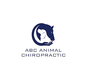 ABC Chiropractic Clinic Edinburgh