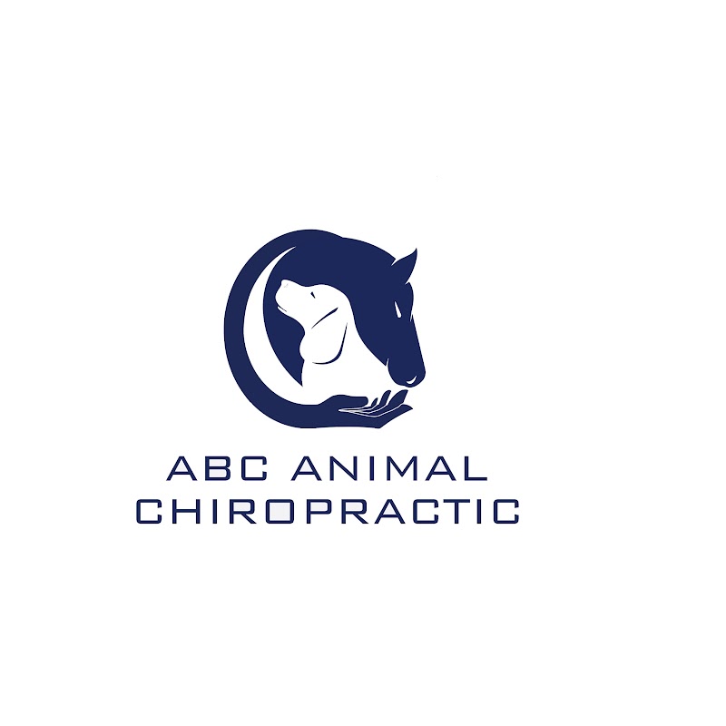ABC Chiropractic Clinic Edinburgh