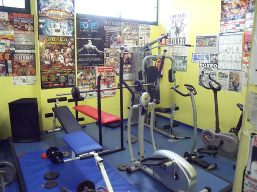 Gimnasio Paco Bueno Udal Ginasiolekua en Errenteria, Guipúzcoa