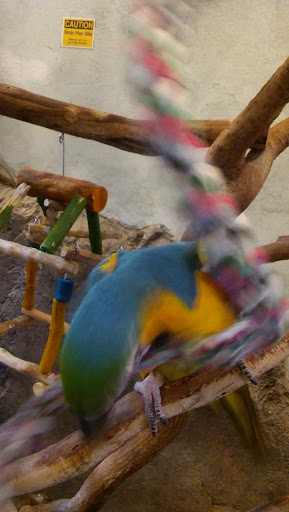 Craft Store «Michaels», reviews and photos, 100-B Independent Way, Brewster, NY 10509, USA