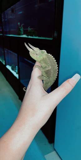 Pet Store «Pets Place II», reviews and photos, 120 E Rte 59, Nanuet, NY 10954, USA